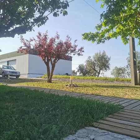 Casa Da Lala - A 4km De Fatima *