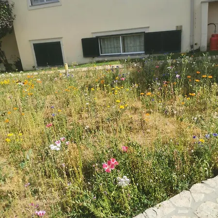 Casa Da Lala - A 4km De Fatima *