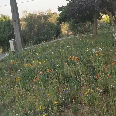 شقة Casa Da Lala - A 4km De Fatima *