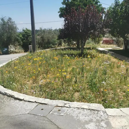 Casa Da Lala - A 4km De Fatima * Fontainhas