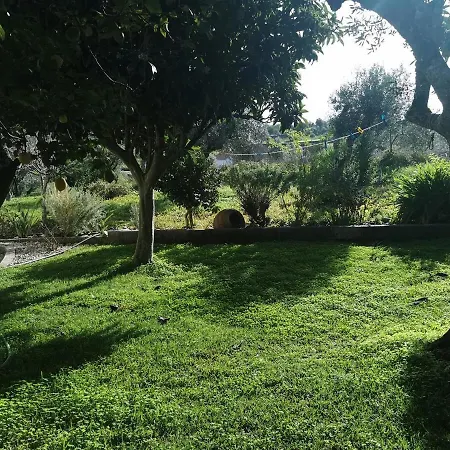 Casa Da Lala - A 4km De Fatima شقة Fontainhas