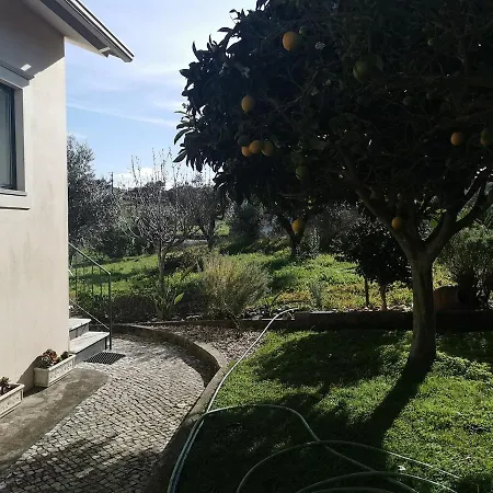 Casa Da Lala - A 4km De Fatima * Fontainhas