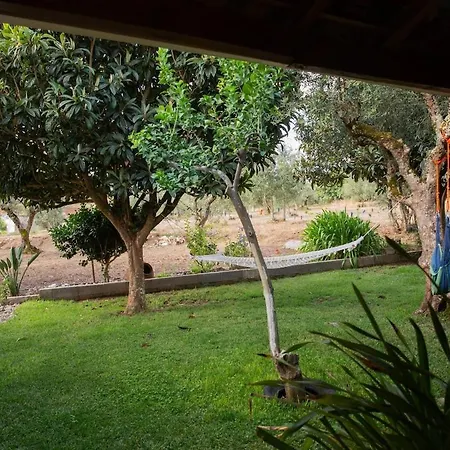 Casa Da Lala - A 4km De Fatima شقة